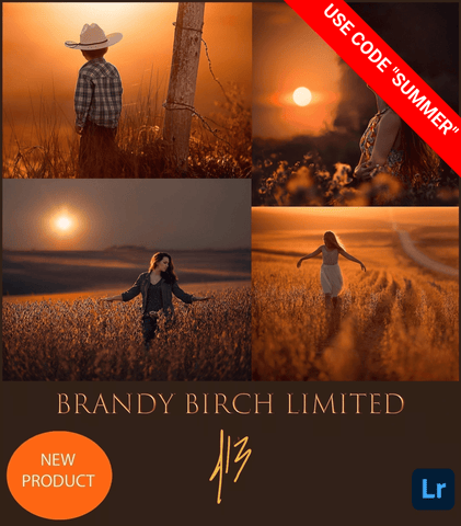 Jake Olson's Brandy Birch Limited Lightroom Preset Collection-Only $9 With Code "SUMMER"